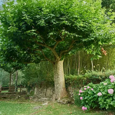 Fonda Finet Hotel Sant Felíu de Pallarols