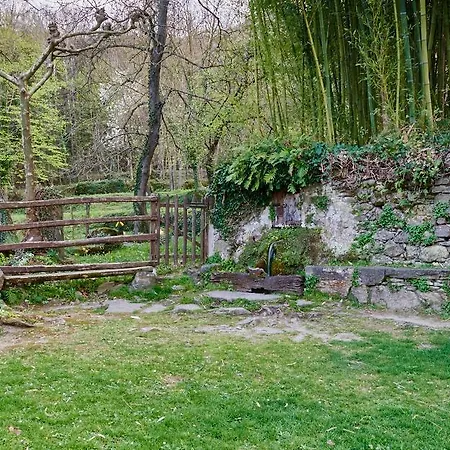 Fonda Finet